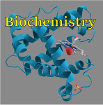 1: Intro to Biochemistry, H2O properties, and Biochemical bonds