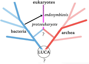 2.10: Life's impact on earth - Biology LibreTexts