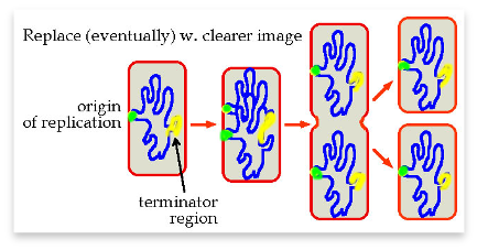 11.0: Introduction - Biology LibreTexts