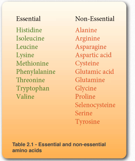 acidic amino acids list