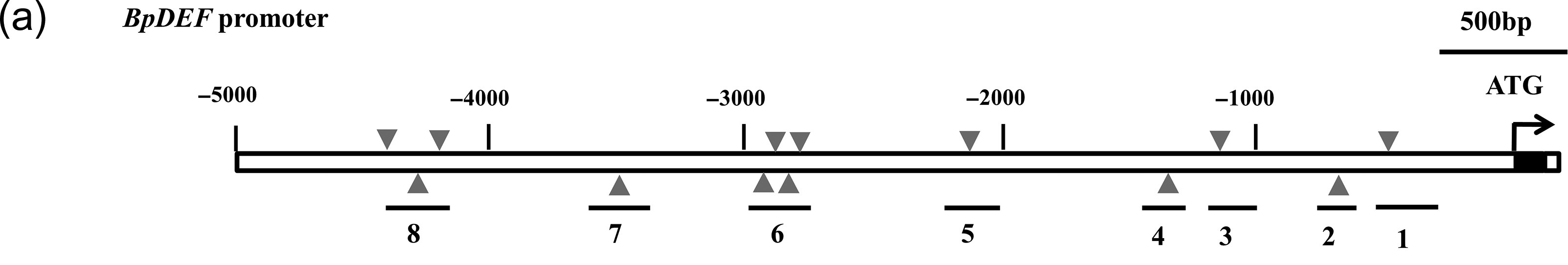 Image description available.