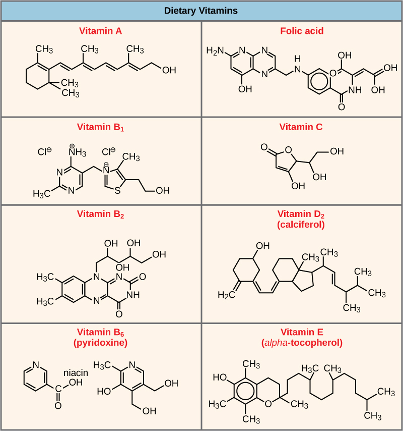 Se muestran las estructuras moleculares para la Vitamina A, el ácido fólico, la Vitamina B1, la Vitamina C, la Vitamina B2, la Vitamina D2, la Vitamina B6 y la Vitamina E.