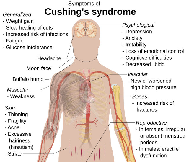 7.3: Introduction to the Endocrine System - Biology LibreTexts