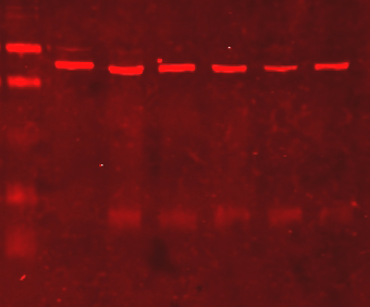 mindtouch.page#thumbnail