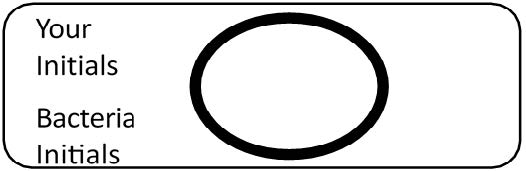 Labeled microscope slide showing the specimen circle positioned on the bottom of the slide.