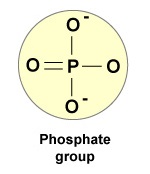 Un grupo de fosfato