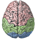 mindtouch.page#thumbnail
