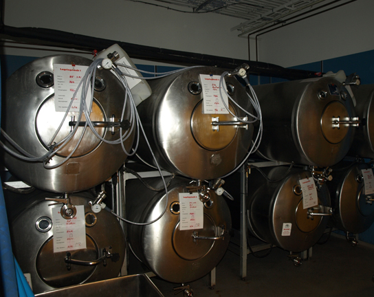 Cette photo montre de grandes cuves de fermentation cylindriques empilées les unes sur les autres.