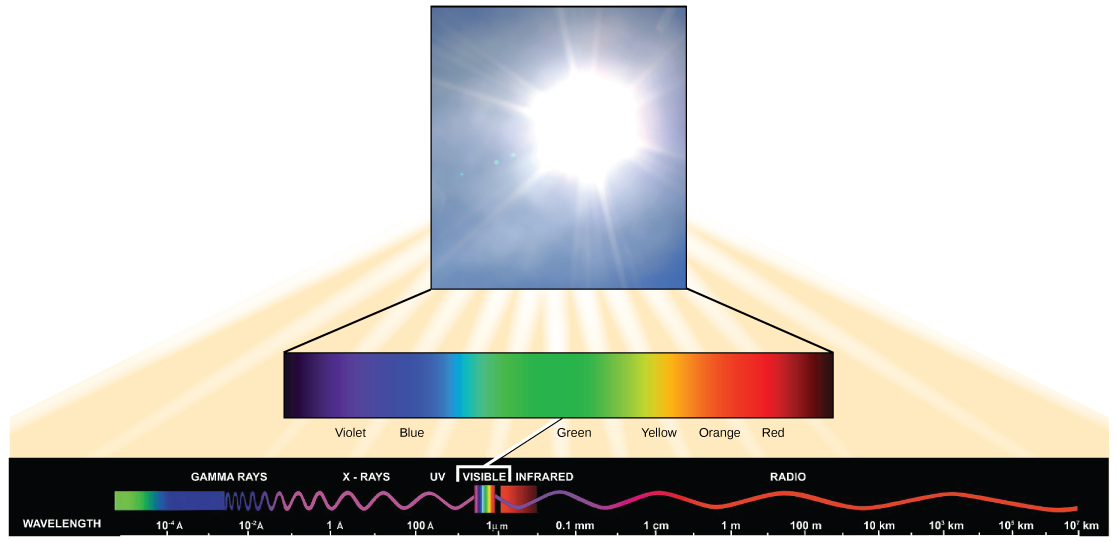 A ilustração lista os tipos de radiação eletromagnética em ordem crescente de comprimento de onda. Isso inclui raios gama, raios-X, ultravioleta, visível, infravermelho e rádio. Os raios gama têm um comprimento de onda muito curto, da ordem de um milésimo de nanômetro. As ondas de rádio têm um comprimento de onda muito longo, da ordem de um quilômetro. A luz visível varia de 380 nanômetros na extremidade violeta do espectro a 750 nanômetros na extremidade vermelha do espectro.