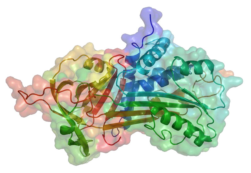 Biochemistry_Page_389_Image_0003.jpg