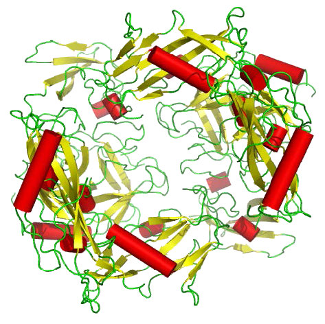 Biochemistry_Page_405_Image_0005.jpg