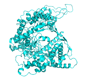 morph_1mswdto1cezaCROPresize2.gif