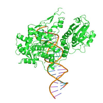 Biochemistry_Page_880_Image_0002.jpg