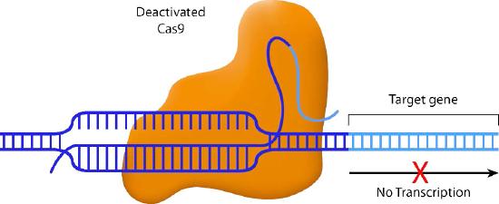 Biochemistry_Page_892_Image_0002.jpg