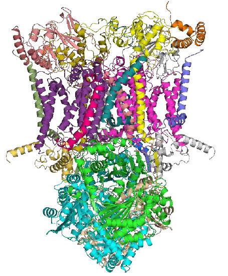 Biochemistry_Page_438_Image_0004.jpg