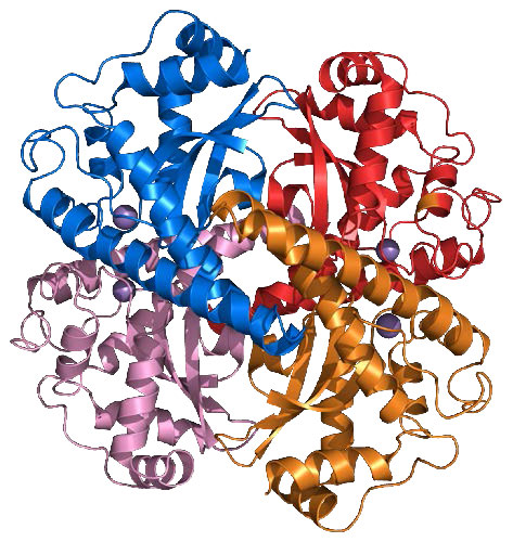 Biochemistry_Page_457_Image_0004.jpg
