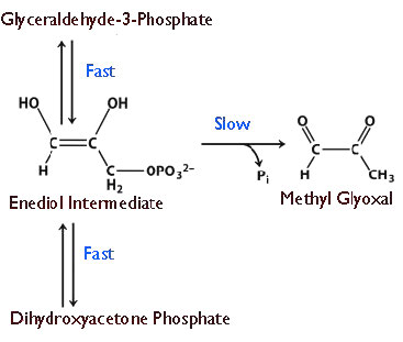 Biochemistry_Page_355_Image_0005.jpg