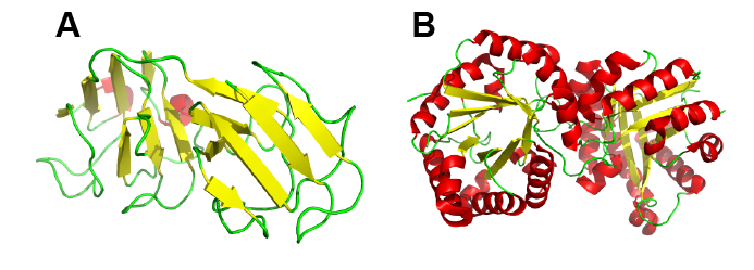 two_proteins.png
