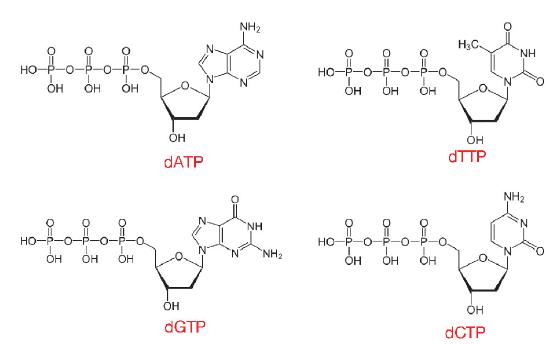Biochemistry_Page_707_Image_0003.jpg