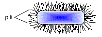 u1fig22.gif