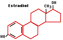 Estradiol.gif