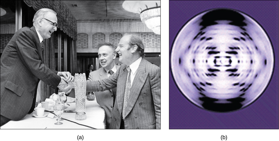 تُظهر الصورة في الجزء أ جيمس واتسون وفرانسيس كريك وماكلين مكارتي. نمط حيود الأشعة السينية في الجزء ب متماثل، مع وجود نقاط في شكل X