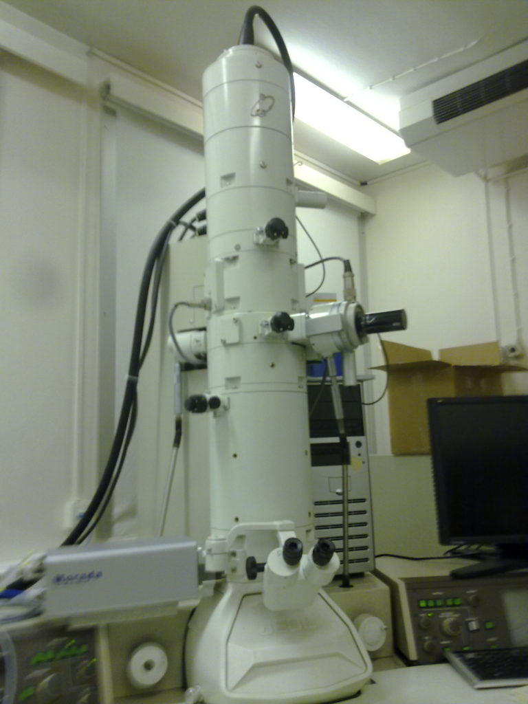 does transmission electron microscope produce 3d images