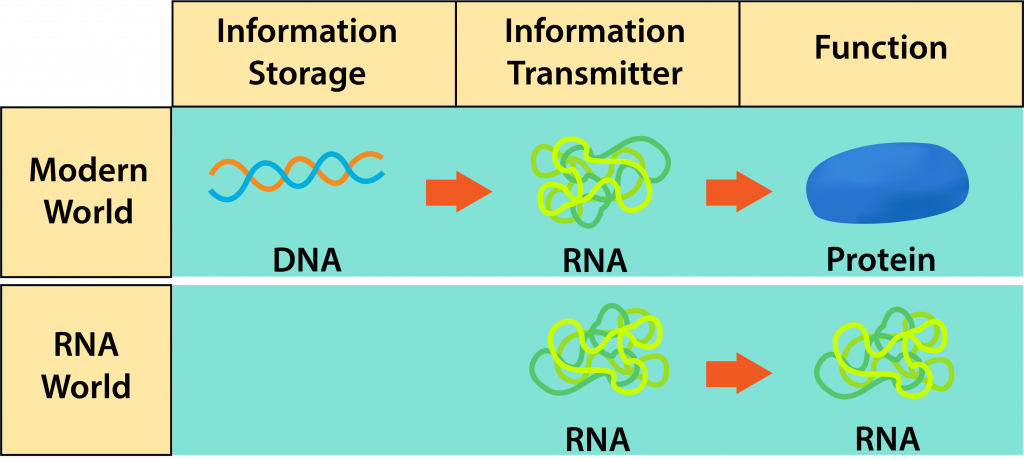 RNA-world-1024x460.png