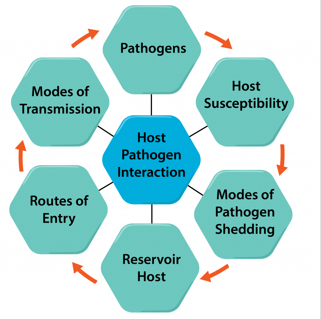 Host-pathogen-interaction-e1497296935850-1024x1018.png