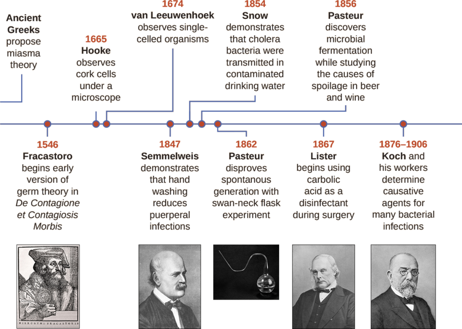 A timeline. To the far left are the ancient Greeks who proposed the Miasma Theory. In 1546 Fracastoro begins early version of Germ Theory in De Contagione et Contagiosis Morbis. In 1665 Hooke observes cork cells under a microscope. In 1674 van Leeuwenhoek observes single-celled organisms. In 1847 Semmelweis demonstrates that hand washing reduces puerperal infections. In 1854 Snow demonstrates that cholera bacteria were transmitted in contaminated drinking water. In 1856 Pasteur discovers microbial fermentation while studying the cause of spoilage in beer and wine. In 1862 Pasteur disproves spontaneous generation with swan-neck flask experiment. In 1867 Lister begins using carbolic acid as a disinfectant during surgery. From 1867 – 1906 Koch and his workers determine causative agents for many bacterial infections.