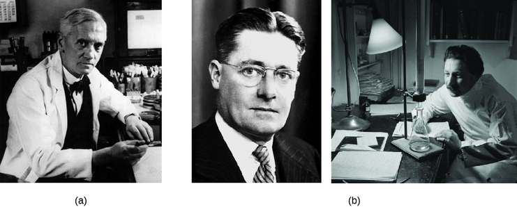 a) Photo of Alexander Fleming. B) Photo of Howard Florey and Ernst Chain.