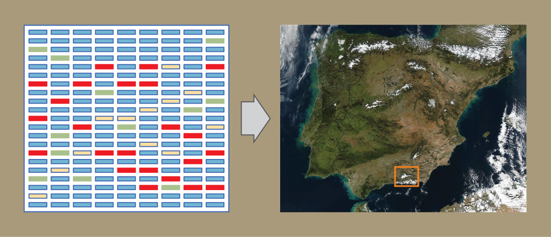 这张图片的左侧是基因芯片的插图。 该芯片是一个由九列和二十一行组成的网格。 网格中的大多数单元格是蓝色的，但有些单元格是绿色、黄色或红色。 绿色、黄色或红色表示DNA已与芯片杂交，表明存在特定基因。 图像的右侧是西班牙的卫星图像，其中一个小区域用正方形勾勒出来。 这张图片旨在强化这样的概念，即像世界各地区一样，可以绘制DNA图。