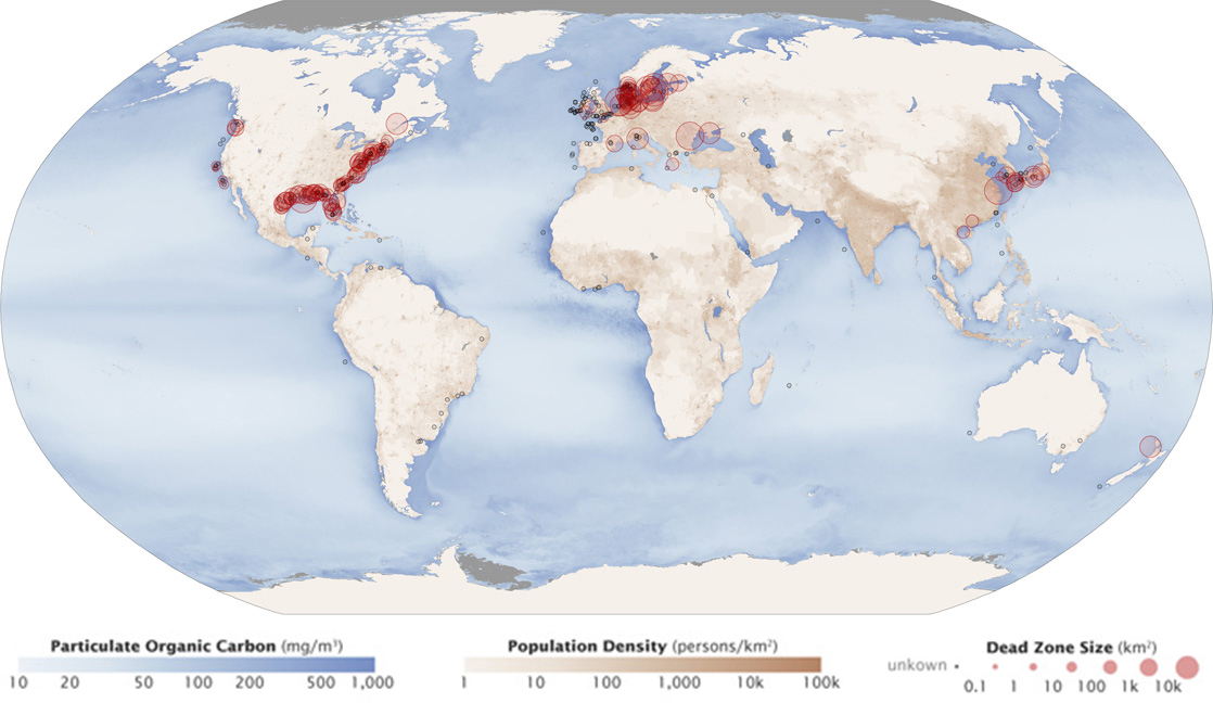 Círculos rojos marcan zonas muertas a lo largo de la costa del este y sur de Estados Unidos, Europa occidental y los alrededores de Corea del Sur y Japón en un mapa mundial.