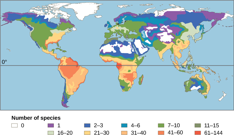 The number of amphibian species in different areas on a world map. Generally, more amphibian species are found in warmer, wetter climates.