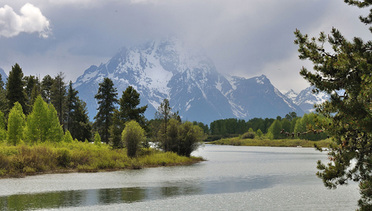 A body of water surrounded by herbaceous vegetation and conifer trees. Snowcapped mountains are in the background.