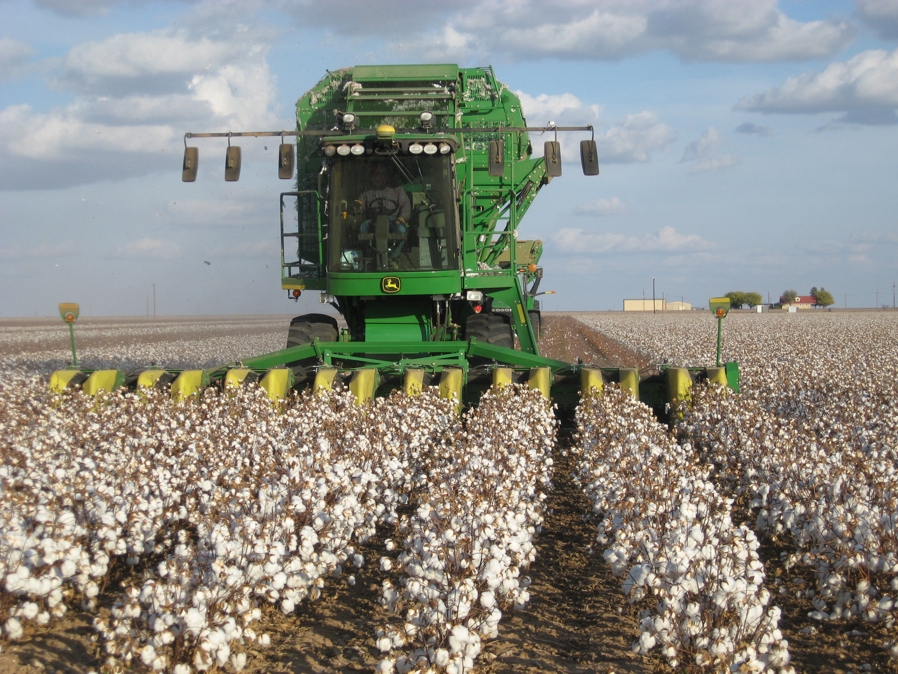 John Deer equipment harvests rows of cotton
