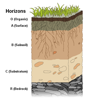 Five soil layers from top to bottom: thin and dark brown; a bit thicker and gray; thick and light brown; thick and tan; and gray, solid rock.