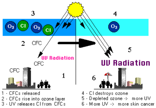 Mionzi zaidi ya UV hufikia Dunia wakati safu ya ozoni imepungua.