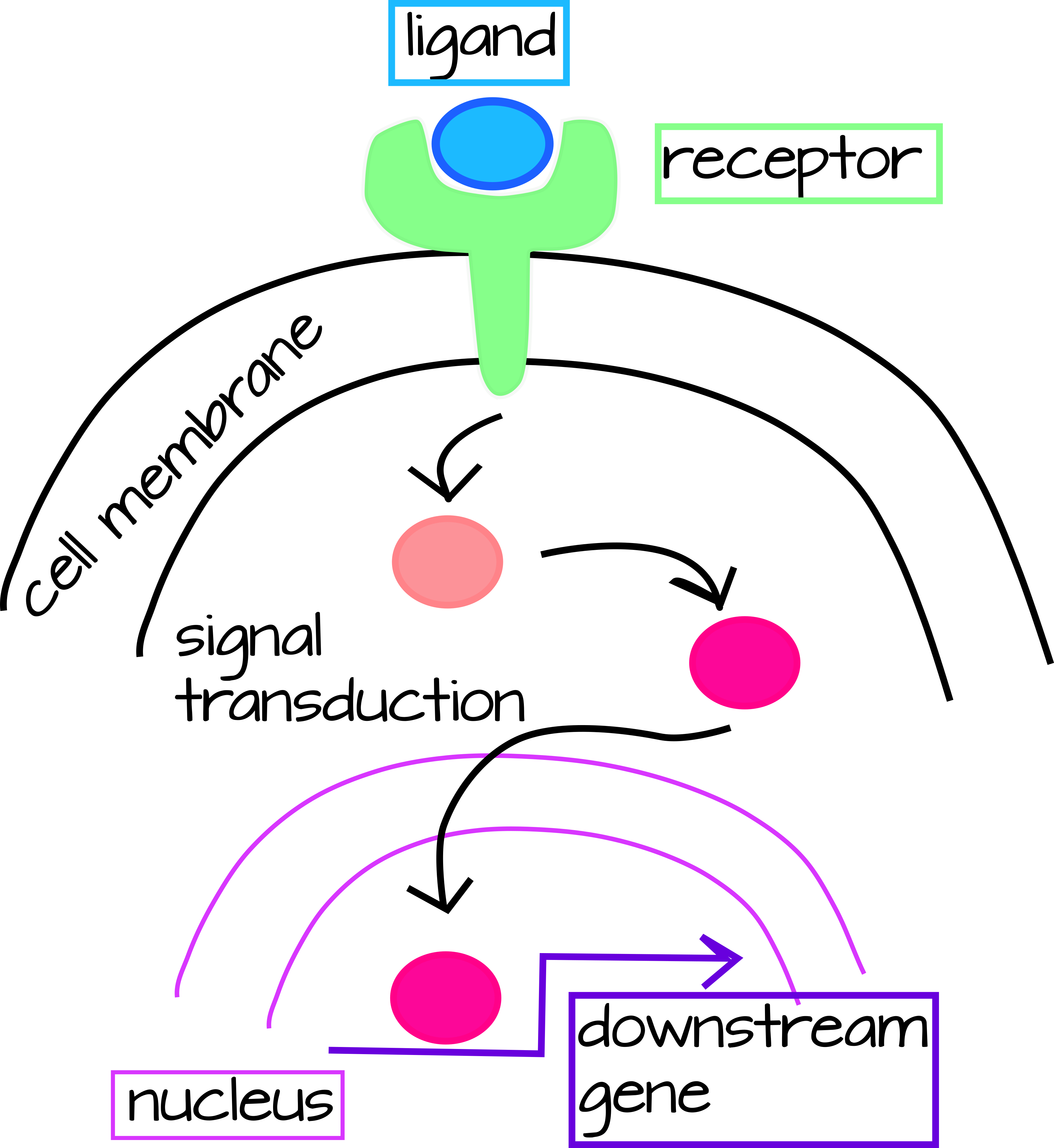 page7vector.png