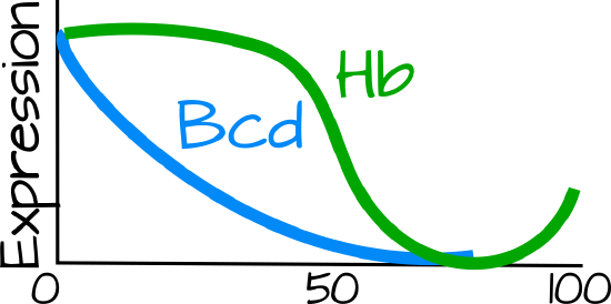 hbbcd.png