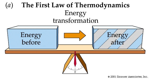 Lecture 06. Energetic and Thermodynamics