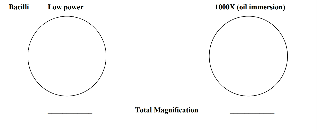 Screenshot (93).png