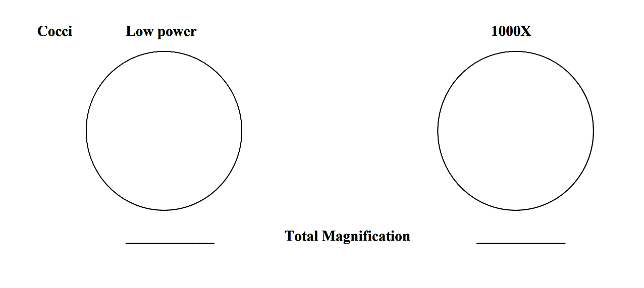 Screenshot (94).png