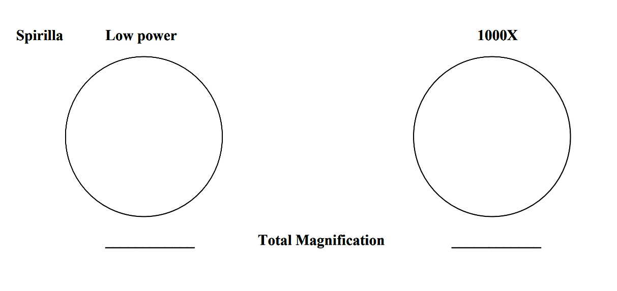Screenshot (95).png