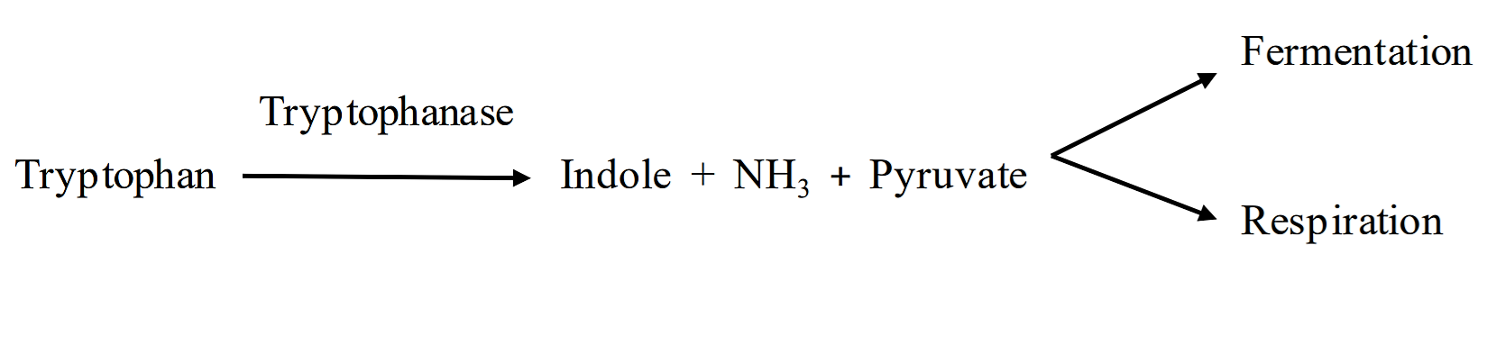 Screenshot (125).png