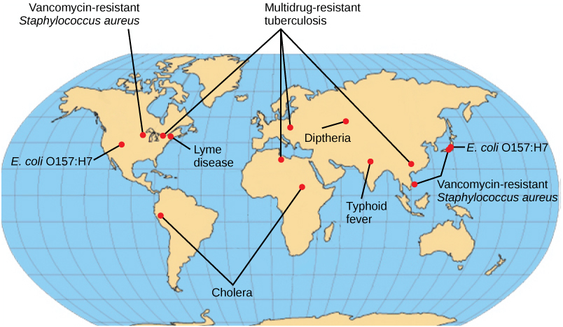 تظهر الأمراض البكتيرية الناشئة أو التي عادت إلى الظهور على خريطة العالم. يظهر السل المقاوم للأدوية المتعددة في أمريكا الشمالية وأوروبا وآسيا. تظهر المكورات العنقودية الذهبية المقاومة للفانكومايسين والإشريكية القولونية O157: H7 في أمريكا الشمالية وشرق آسيا. ينتشر مرض لايم في أمريكا الشمالية. الكوليرا آخذة في الظهور في أفريقيا وأمريكا الجنوبية. تعود حمى الدفتيريا والتيفوئيد إلى الظهور في آسيا.