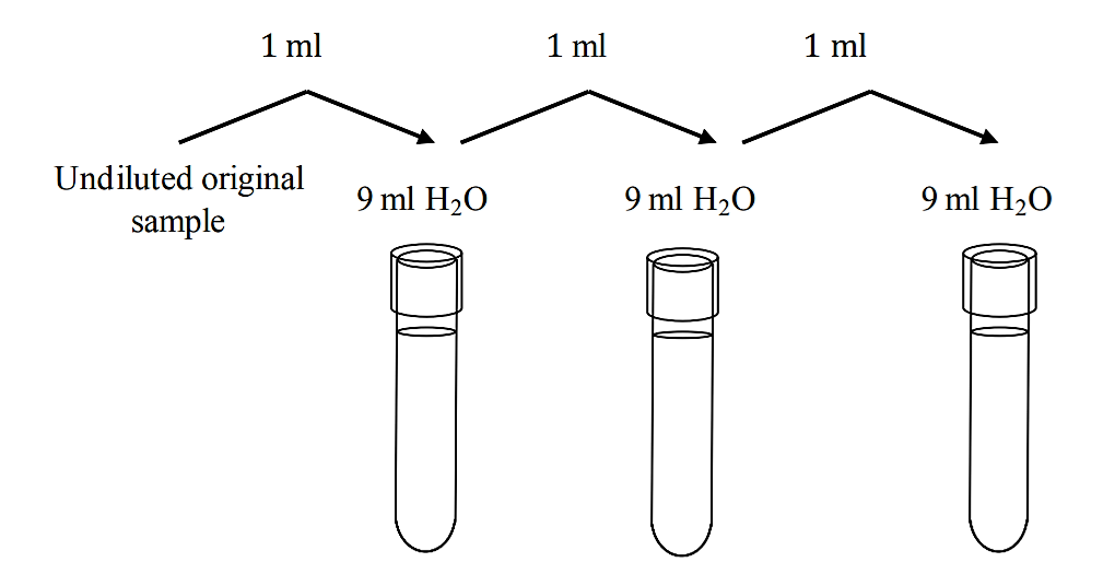 Screenshot (175).png