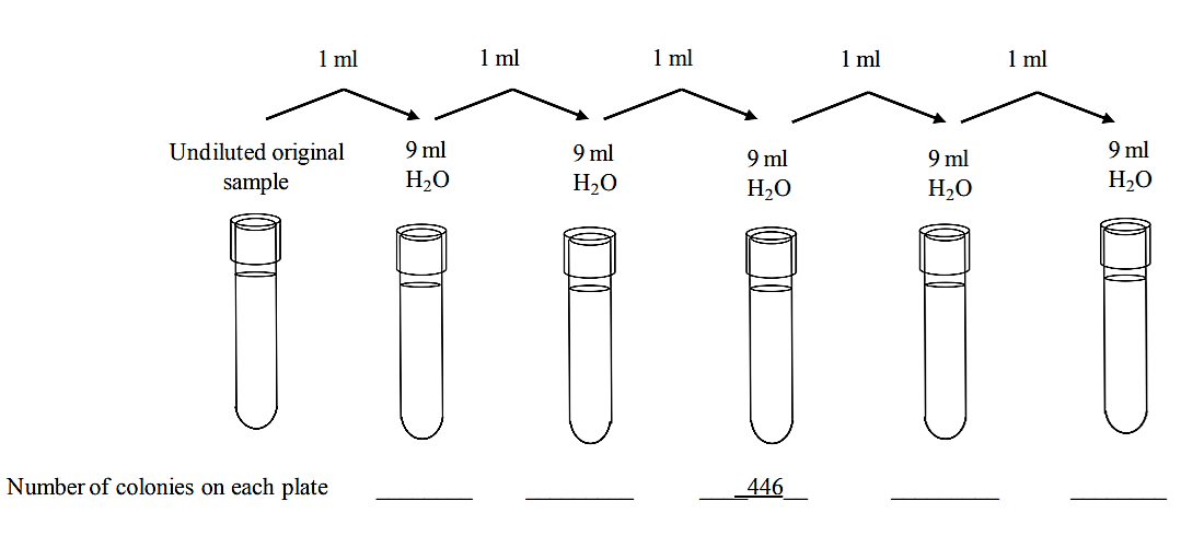 Screenshot (176).png