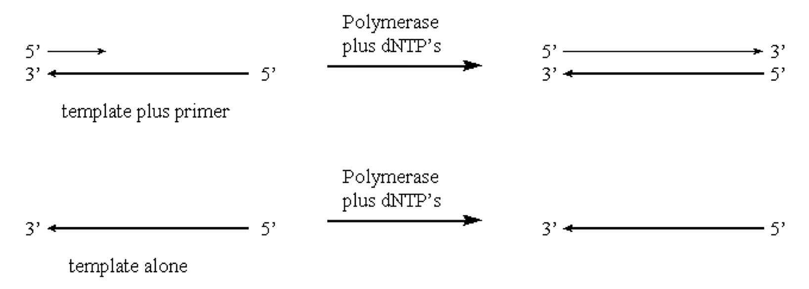 Captura de pantalla (208) .png