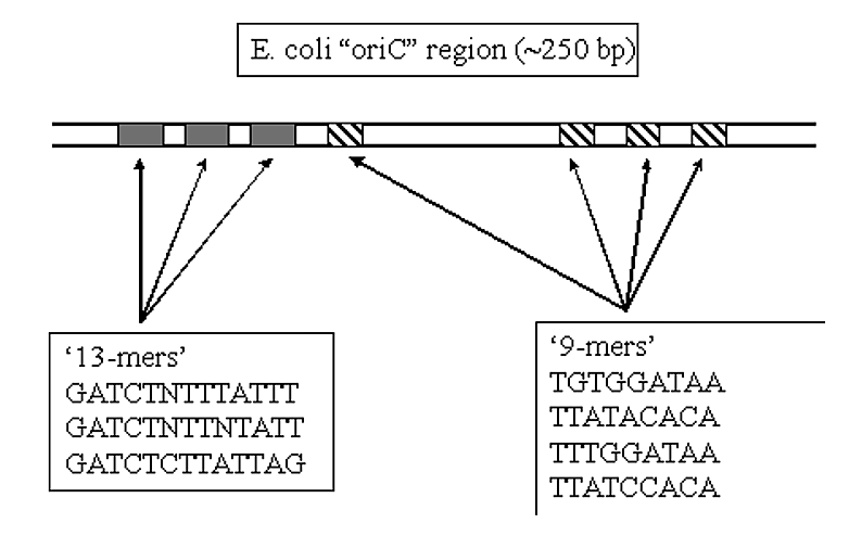 Captura de pantalla (209) .png